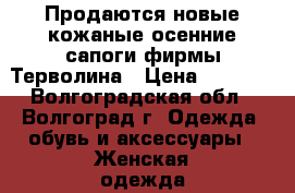Продаются новые кожаные осенние сапоги фирмы Терволина › Цена ­ 1 000 - Волгоградская обл., Волгоград г. Одежда, обувь и аксессуары » Женская одежда и обувь   